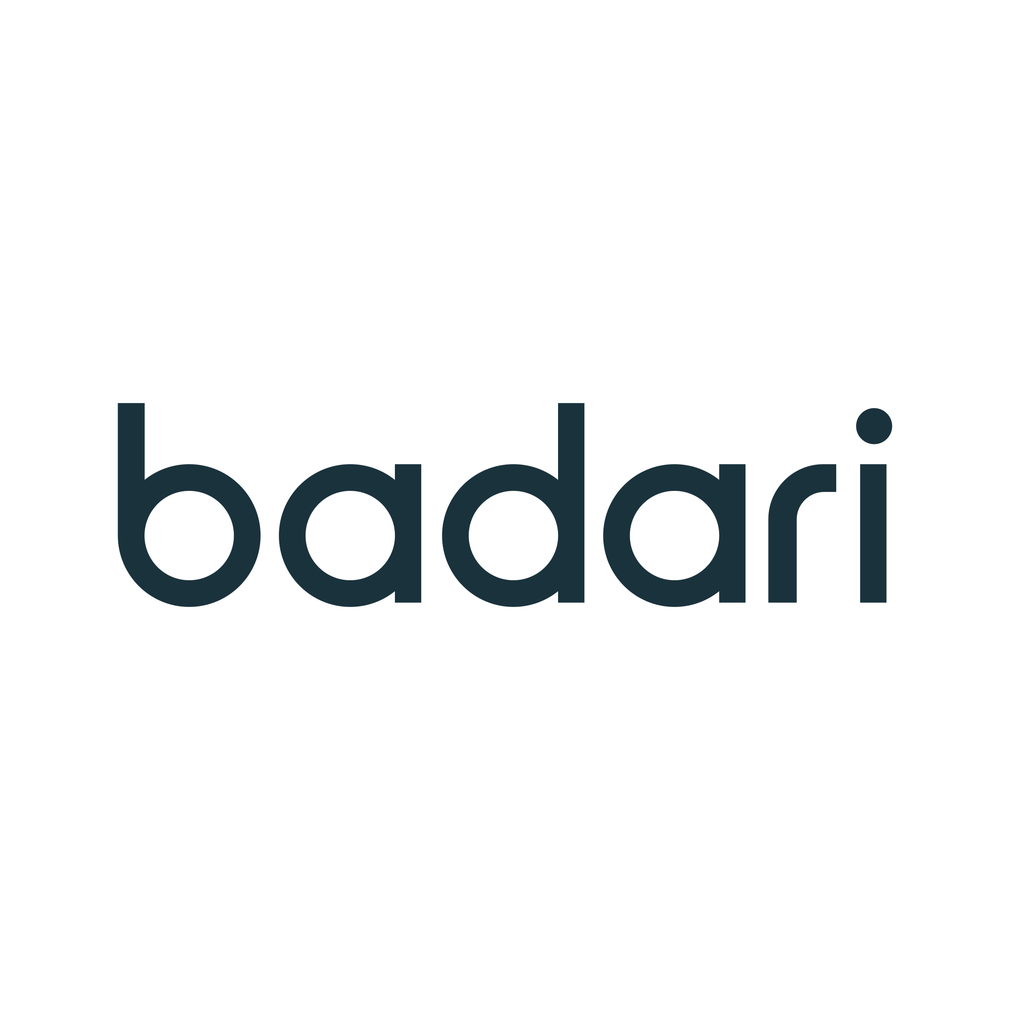 Badari Advocacia Previdenciária